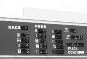 racing-odds