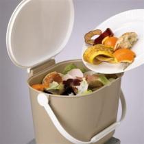 Get_Asset_Img_Web_Ready.aspx