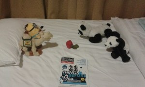 20140901_212457_resized