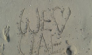 20140907_165450_resized_1