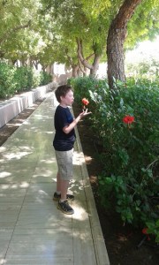 20141005_110333_resized