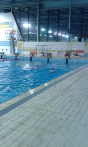 Two of my "team" testing their new skills. 