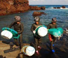 haenyu jeju island korea women divers 15