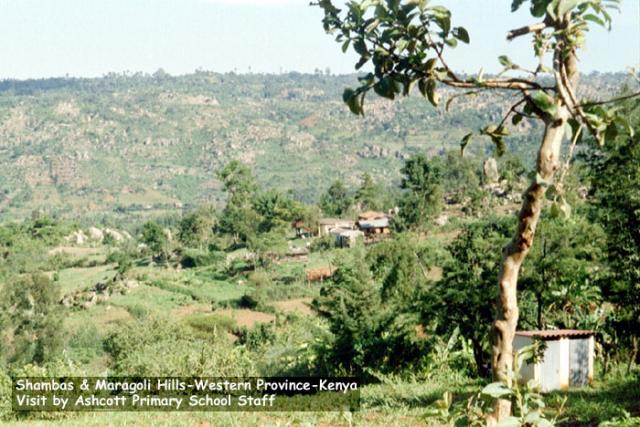 shambas__maragoli_hills_1_mid